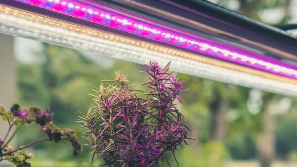 Mi foco LED de cultivo se calienta demasiado