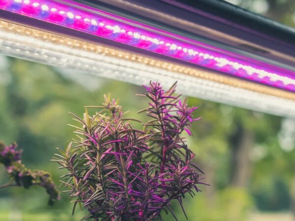 Mi foco LED de cultivo se calienta demasiado