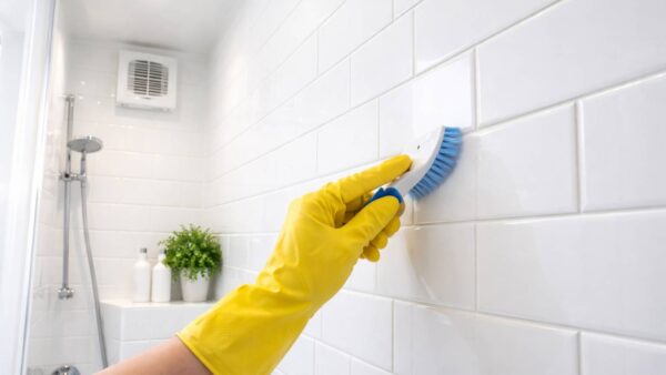 Cómo eliminar humedad y moho en el baño antes de que dañen azulejos y pintura